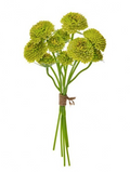 14" Scabiosa Bundle