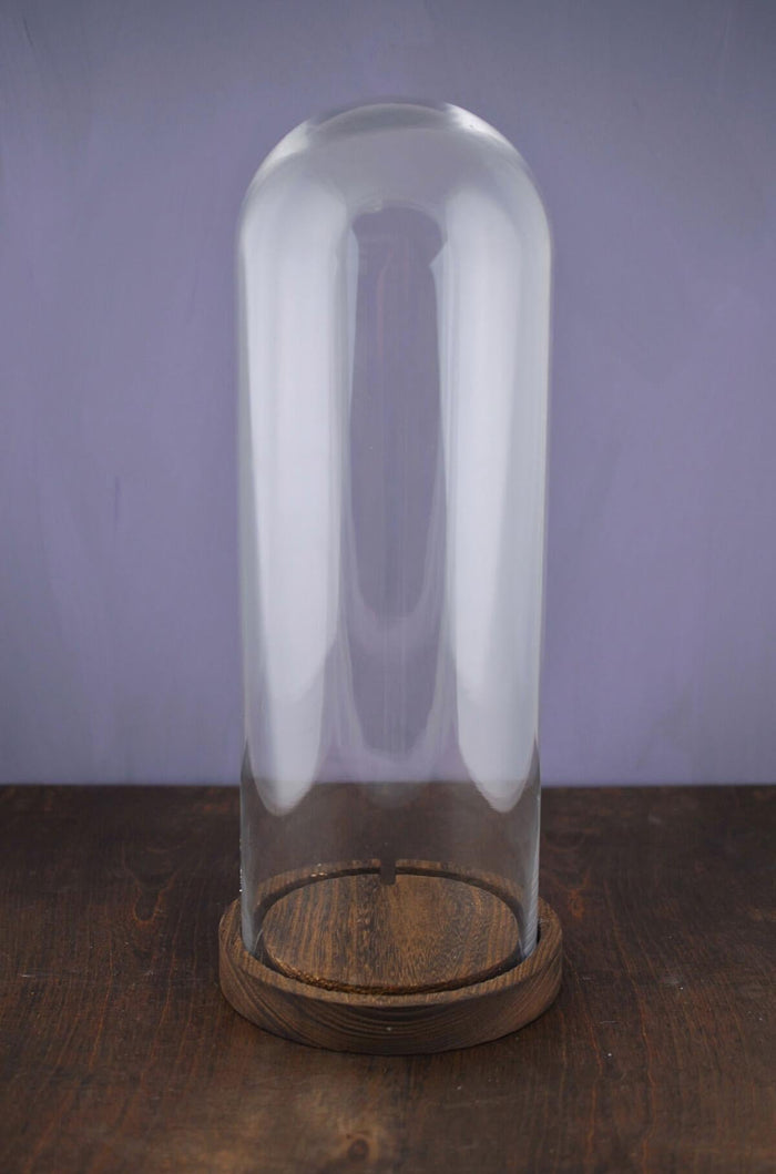 16 glass cloche