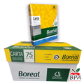 Boreal • Caja de papel tamaño carta