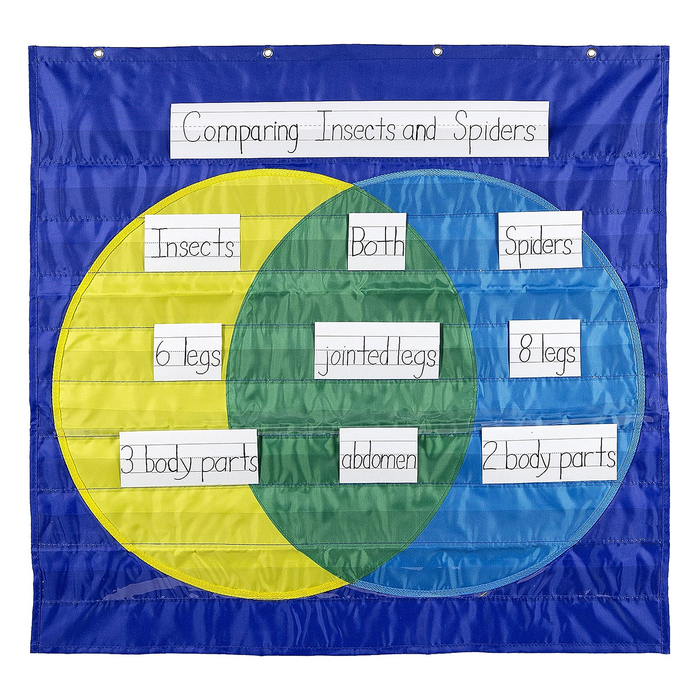 Carson Dellosa  • Pocket Chart Veen Diagram