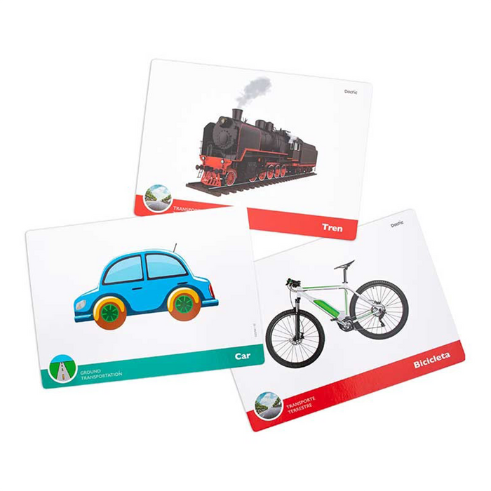 Dactic •  Láminas - Medio de transporte