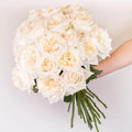 White Ohara Garden Rose Hand - Image
