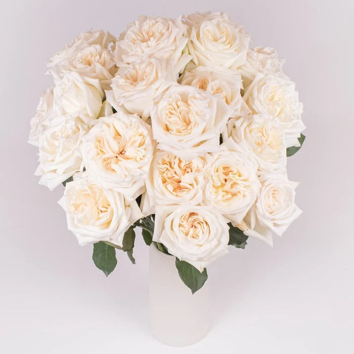 Flawless White Ohara Garden Rose Bouquet