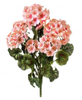 GERANIUM BUSH X 7 20"