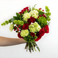 Joyous Noel Red Rose Flower Bouquet Close Up - Image
