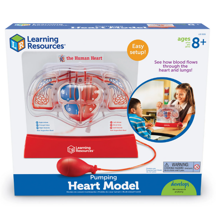 Learning Resources • Pumping Heart Model