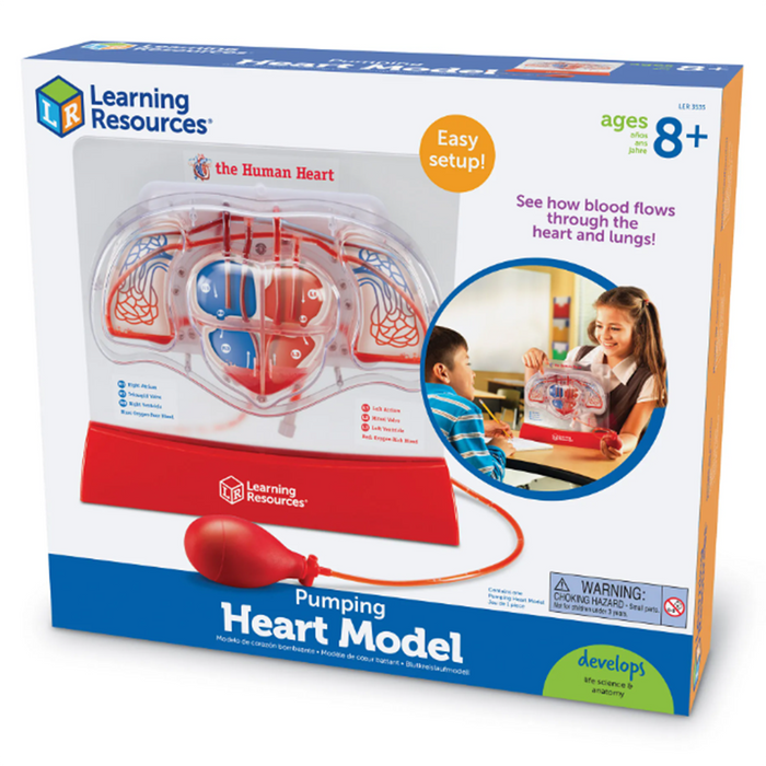 Learning Resources • Pumping Heart Model
