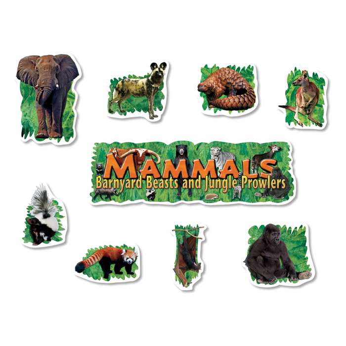 North Star •  Mini Set Decorativo "Mammals"