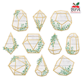 Teacher Created Resources •  Accents "Eucalyptus Geometric Terrariums"