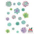 Teacher Created Resources •  Accents "Rustic Bloom - Succulent"