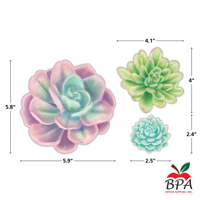 Teacher Created Resources •  Accents "Rustic Bloom - Succulent"