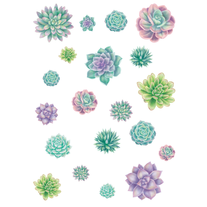 Teacher Created Resources •  Accents "Rustic Bloom - Succulent"