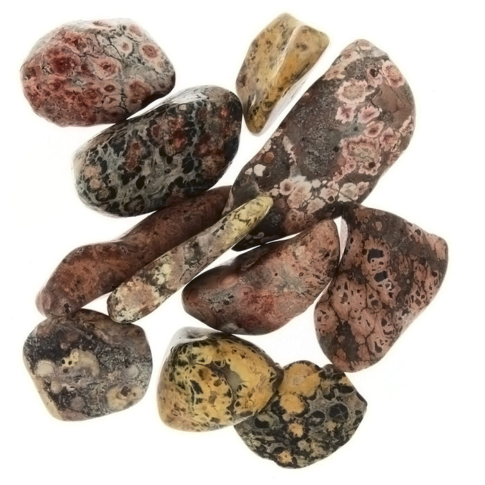TUMBLED GEMSTONE LEOPARDSKIN JASPER (1 LB)