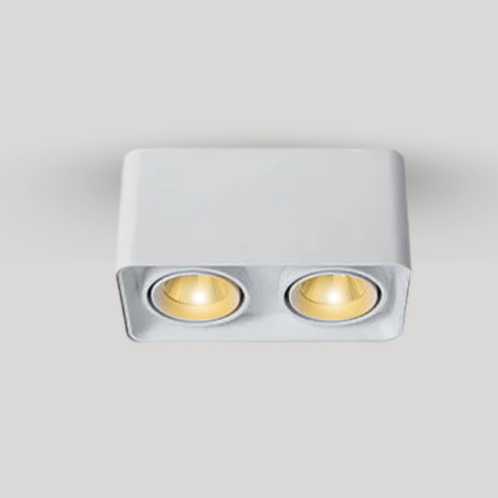 Verlina Downlight
