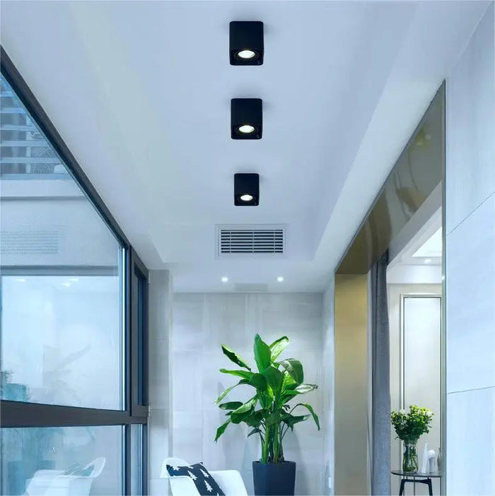 Verlina Downlight
