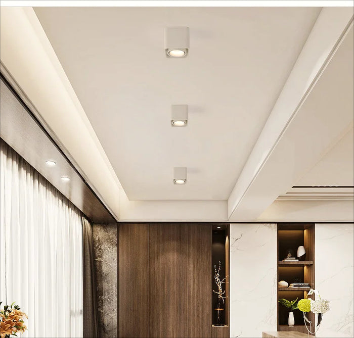 Verlina Downlight